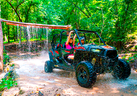 Puerto Vallarta galería 5